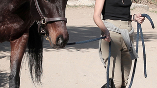 Selma Blair Horses Around
